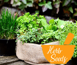 Herb Seeds UK