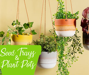 Seed Trays & Plant Pots