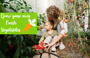Grow your own vegetables from seed