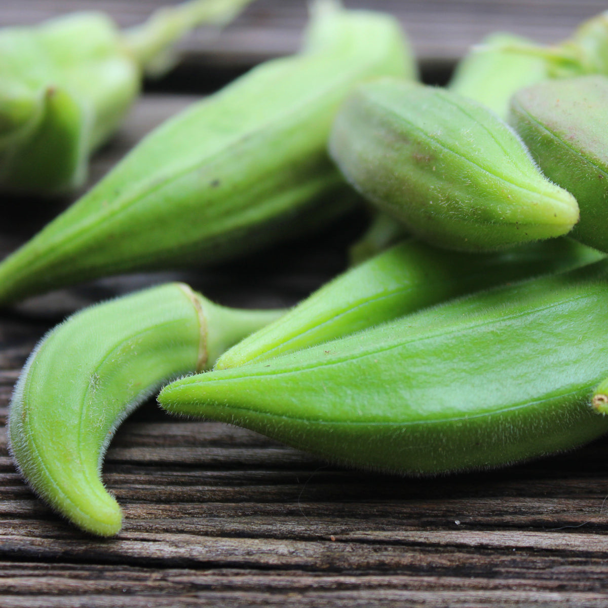 Okra Vegetable Seeds Easy Grow Seeds