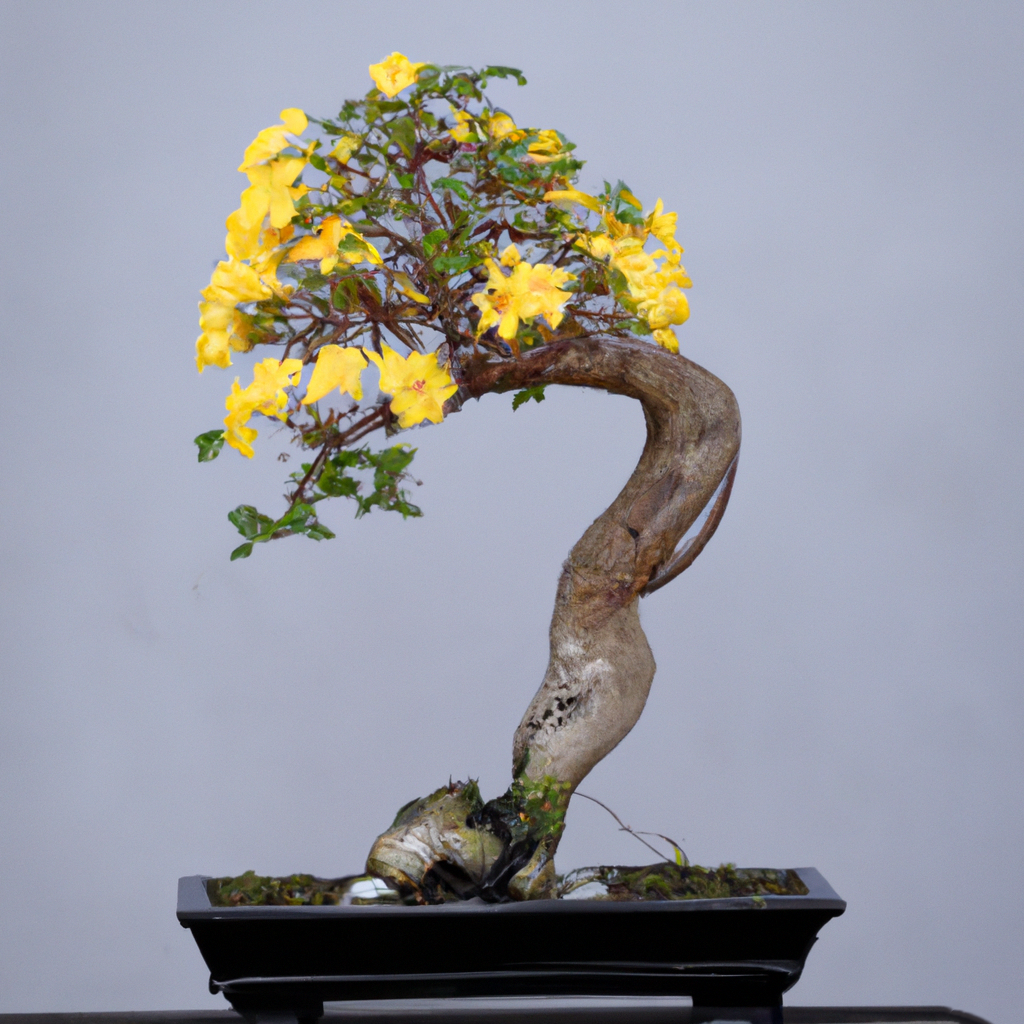 bonsai tree with yellow flowers Teoma Stans Yellow Bells Bonsai Houseplant Seeds