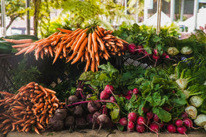 Best vegetables to start in February in the UK