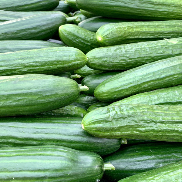Ultimate Greenhouse Vegetable Seed Set