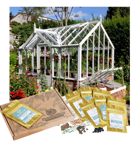 Ultimate Greenhouse Vegetable Seed Set