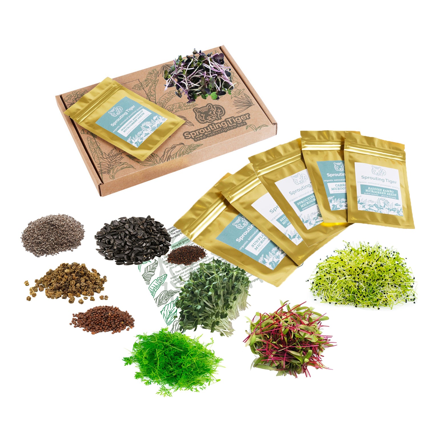 Microgreen Vegetable Seed Set – Easy Grow Seeds