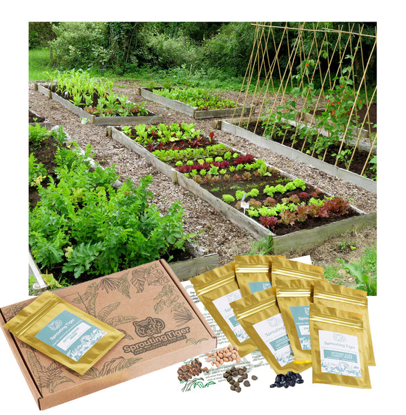 Vegetable Seed Subscription