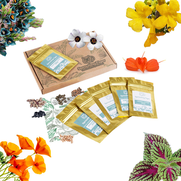 Tropical Flower Seed Set
