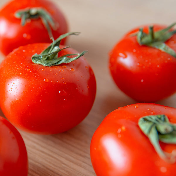 Ultimate Greenhouse Vegetable Seed Set