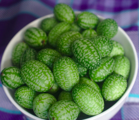 Oriental Cucamelon Seeds