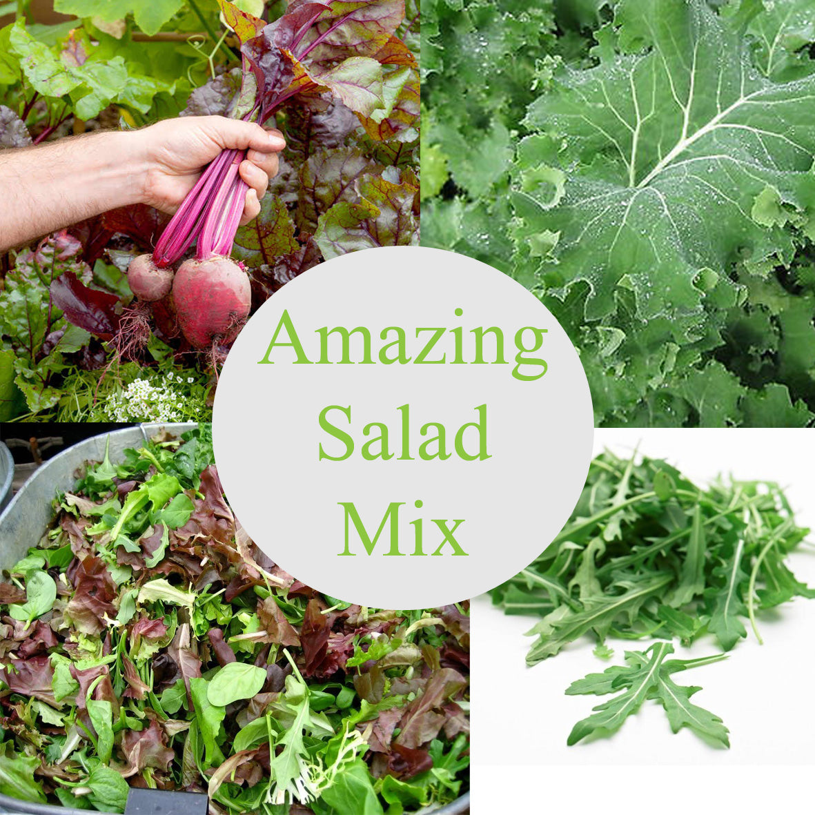 The Amazing Salad Mix
