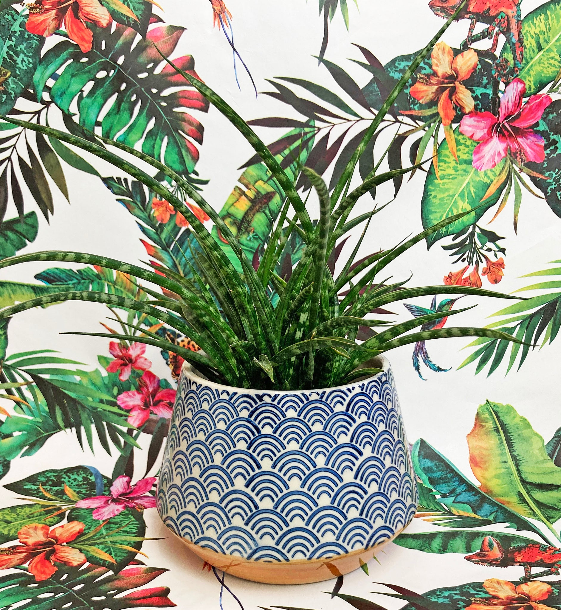 art deco plant pots Large Royal Blue Art Deco Plant Pot