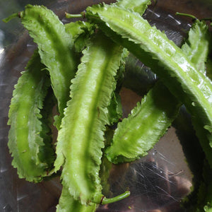 Asparagus Pea Winged Pea Goa Bean Vegetable Seeds