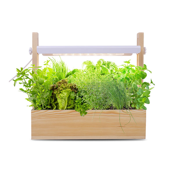 Indoor Garden Growing System
