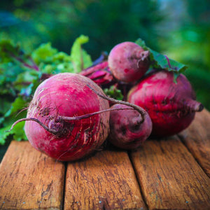 Beetroot Bona Seeds