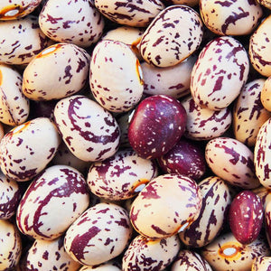 Dwarf French Bean Borlotto Tintoretto Seeds