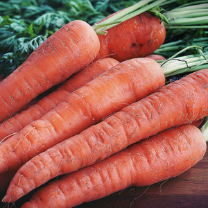 Carrot Autumn King 2 Seeds