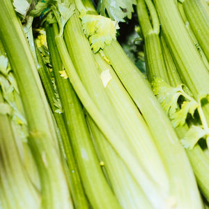 Golden Celery Vegetable Seeds