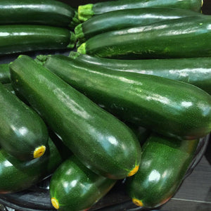 Courgette Zucchini F1 Darko Vegetable Seeds