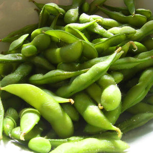 Japanese Edamame Bean Seeds