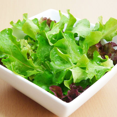 Mixed French Lettuce Seeds