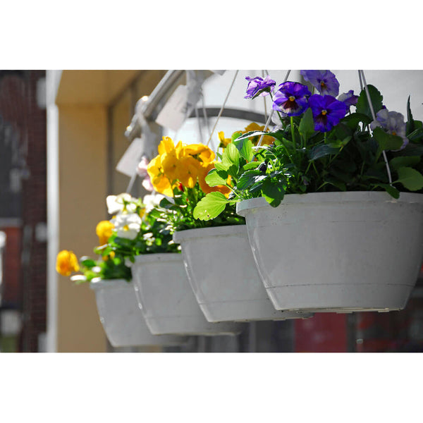 Recycled Plastic Hanging Planters