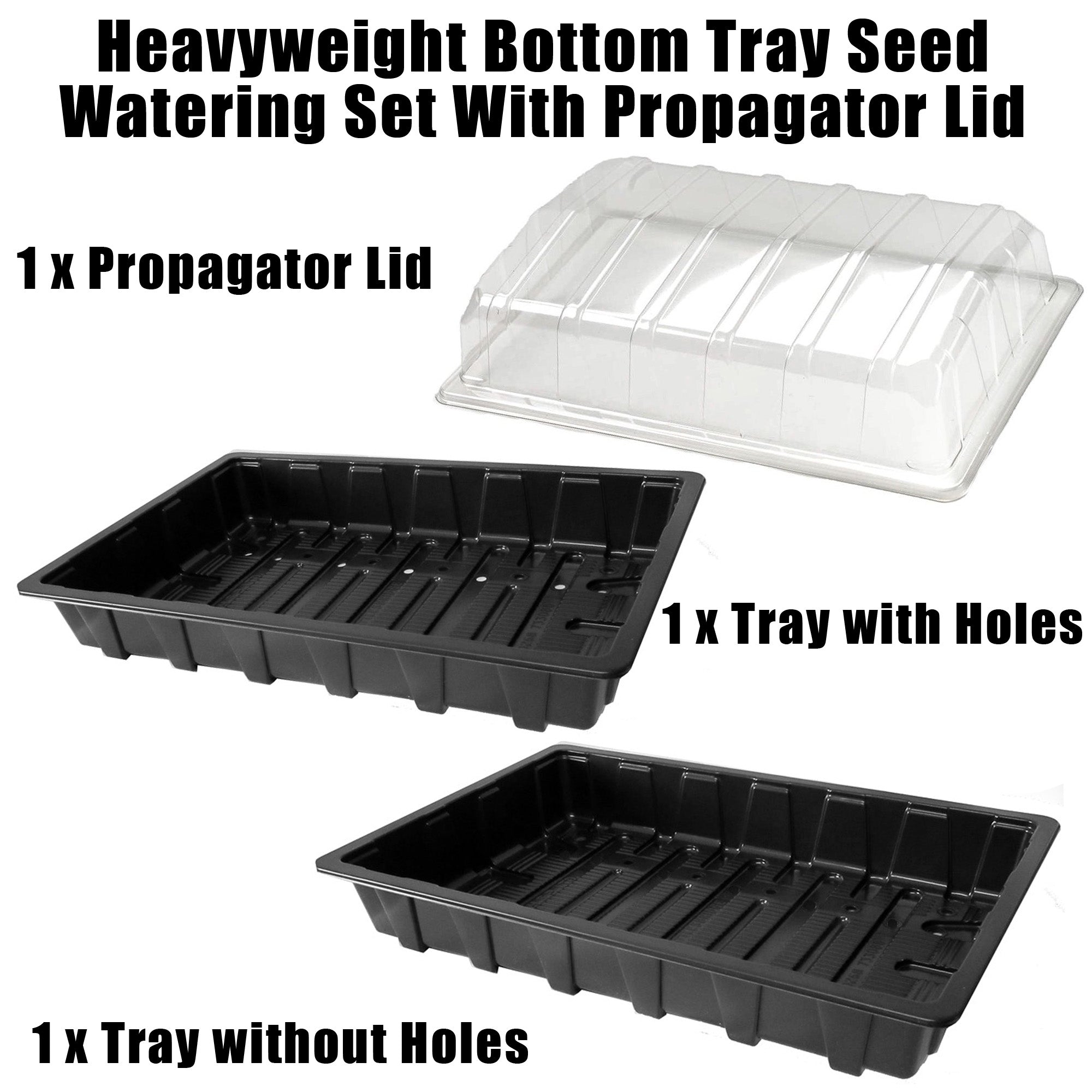 Seed Tray Propagator Kit