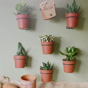 Plant Pot Holder for Wall