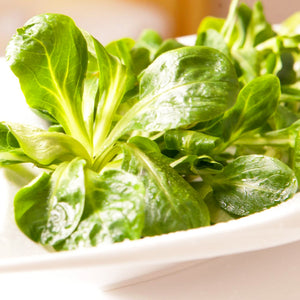 Lambs Lettuce Seeds