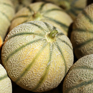 Desert Melon Ogen Pelleted Seeds