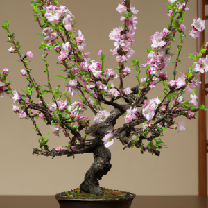 bonsai peach tree for sale Peach Blossom Bonsai Houseplant Seeds – Easy Grow Seeds
