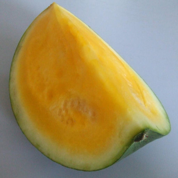 Yellow Fleshed Watermelon F1 Champagne Pelleted Seeds