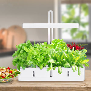 White Gloss Indoor Garden Growing System