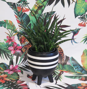 Black & White Striped African Inspired Plant Pot