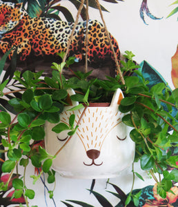 snow leopard hanging planter Sleepy Fox Hanging Planter – Easy Grow Seeds