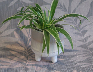 Small Grey Ombre Plant Pot