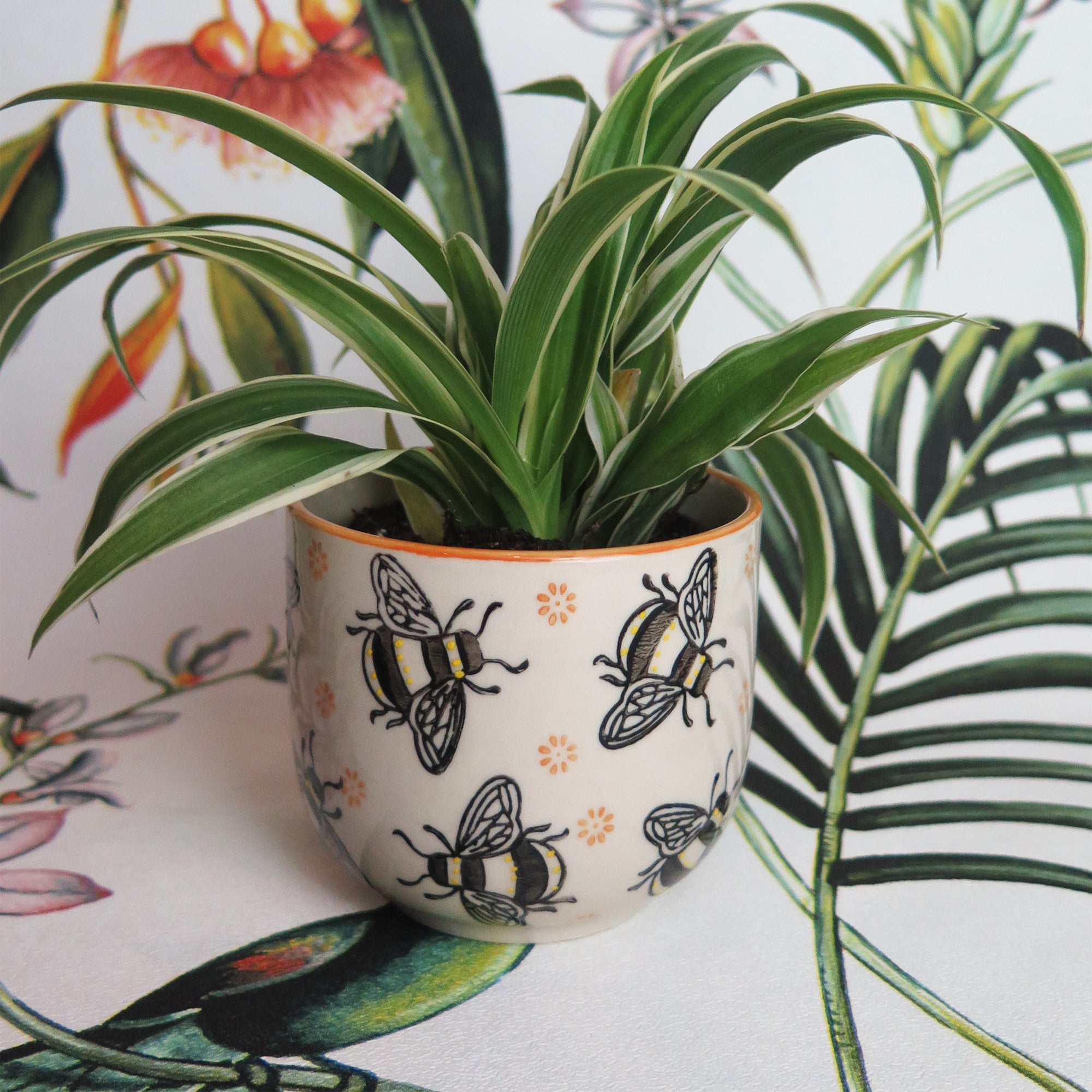 plant pot with bee design Miniature Bee Plant Pot – Easy Grow Seeds