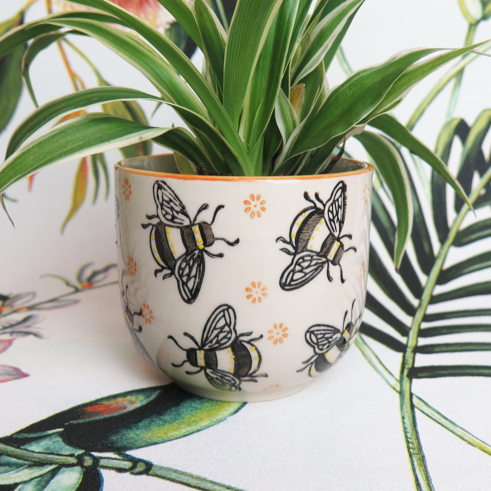 bee plant pot Miniature Bee Plant Pot – Easy Grow Seeds