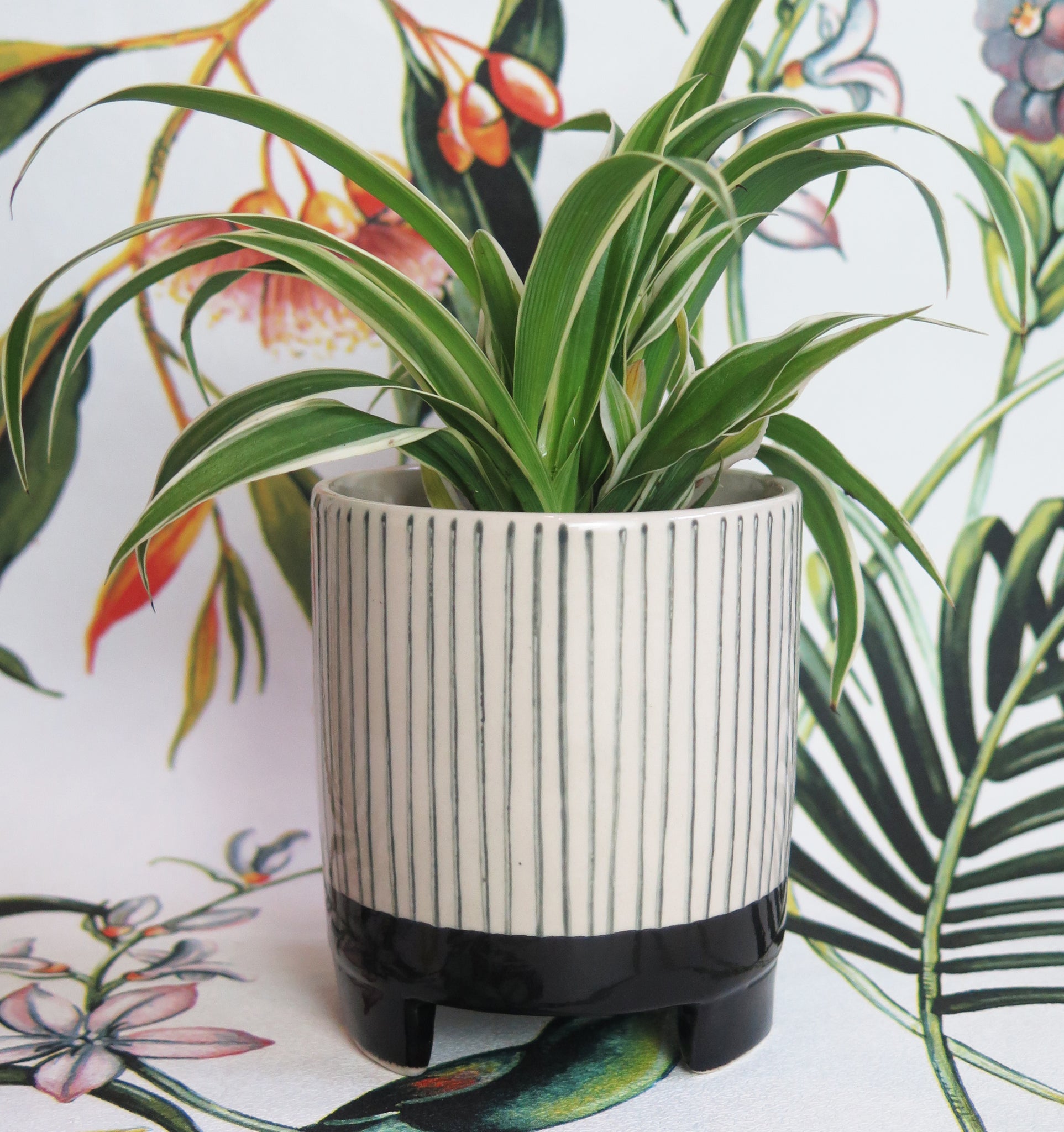 black and white striped pot plant Small Geometric Stripes Plant Pot – Easy Grow Seeds