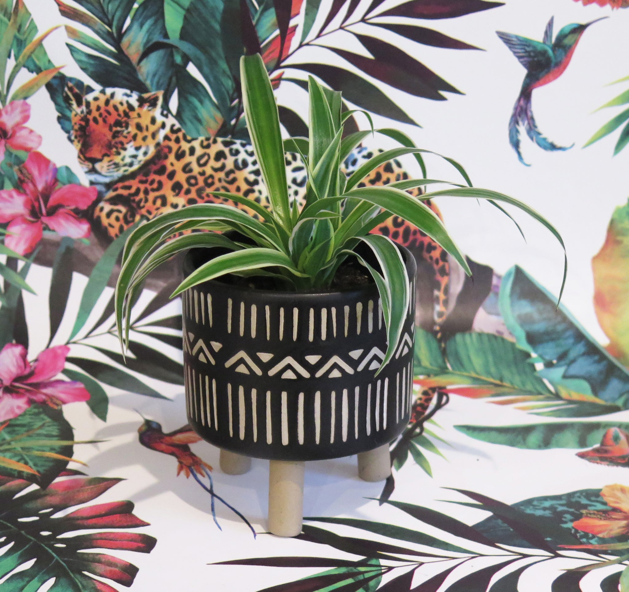 african style plant pots Beige & Black African Inspired Plant Pot