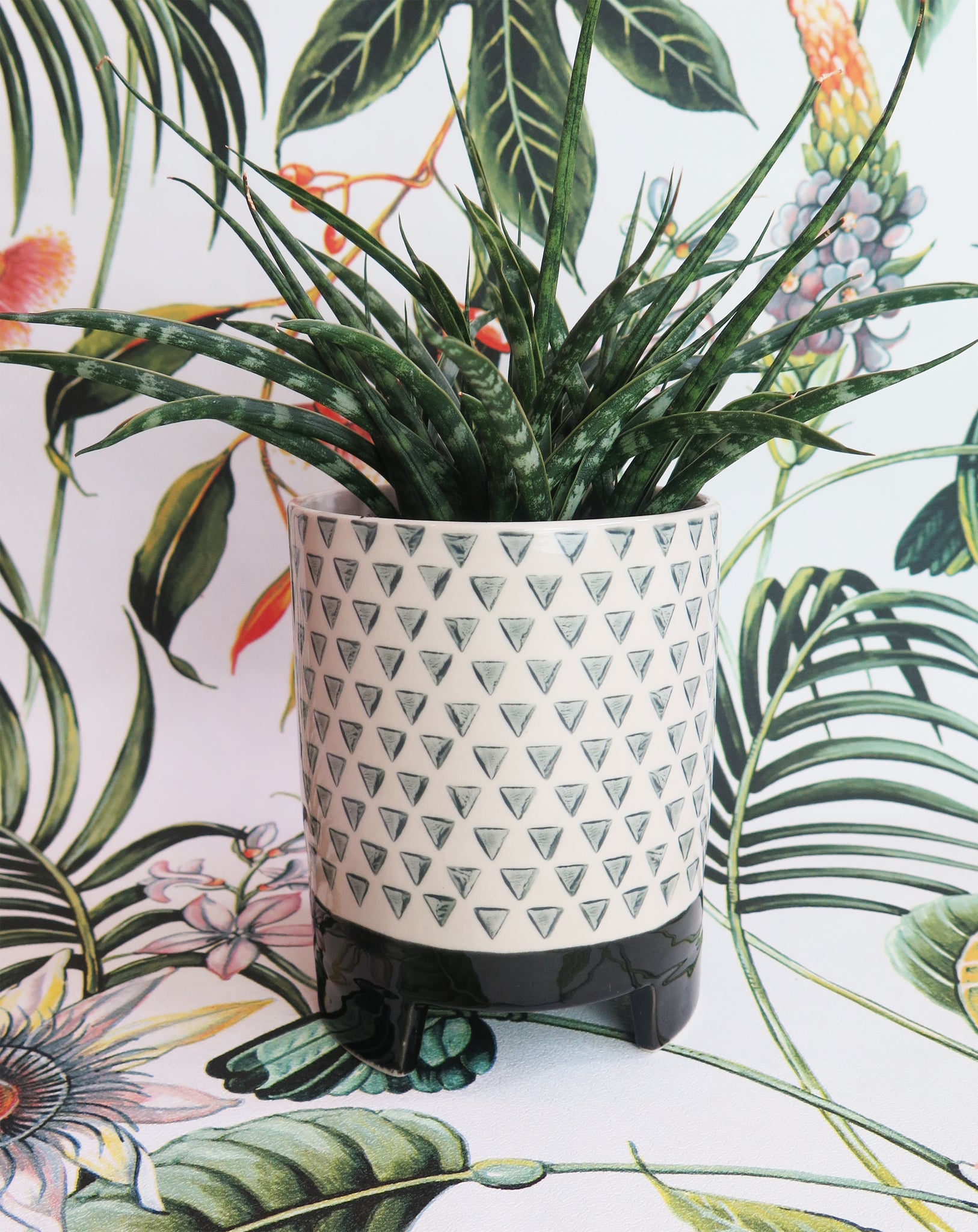 triangle pot plant Geometric Triangle Plant Pot
